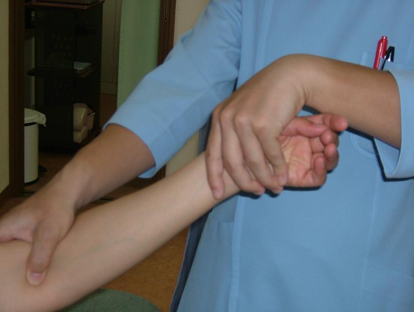 ���������Ȃ���r��L�΂��Ă���ʐ^