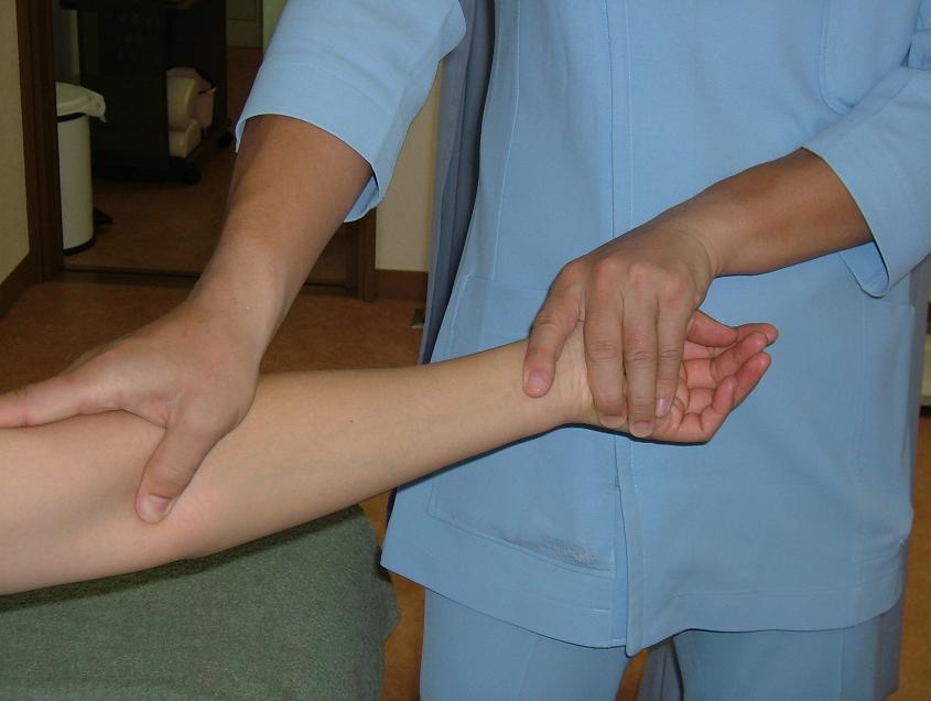 �r�������ƐL�΂����ʐ^