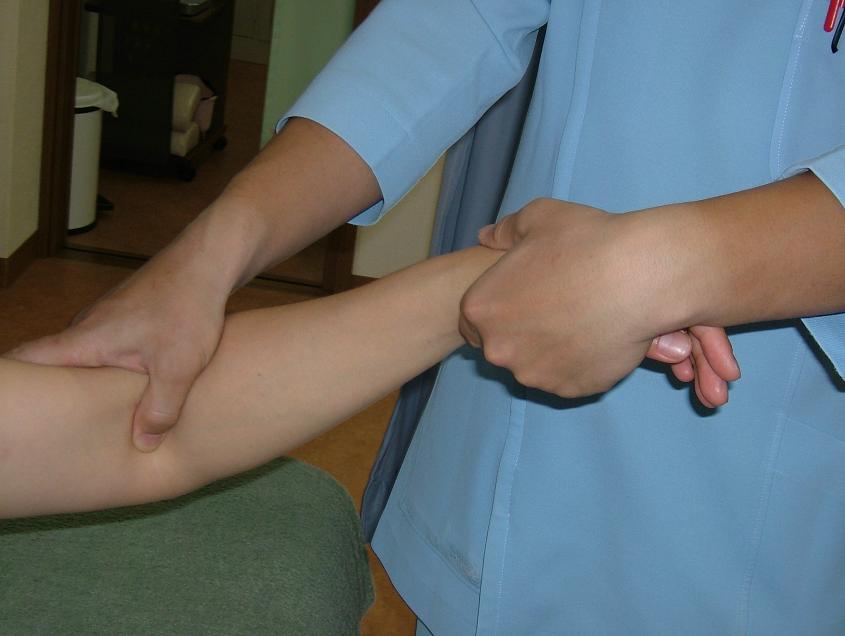 ��r�񓪋��F�̓����ɝd�w�𓖂ĂĂ���ʐ^