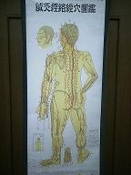 �o���}�̎ʐ^�A���̂Q