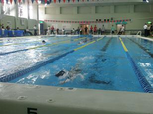 �������܃��[�X���ł�