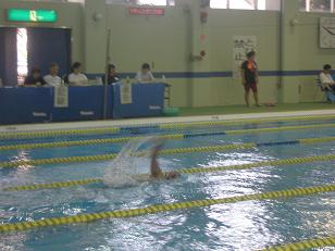 �܂��i�D�ǂ��j���ł���ʐ^