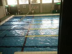 �v�[���̎ʐ^