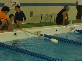 ���}�_�������Ă��闲���i���j�j