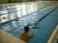 �����X�^�[�g���O�̎ʐ^