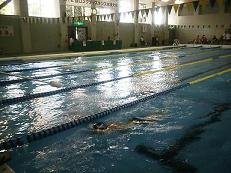 ���}�����Ă�����ă^�[���������ʐ^